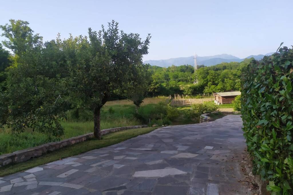 Appartamento Nel Verde Tra Cinque Terre E Versilia Barbarasco Kültér fotó